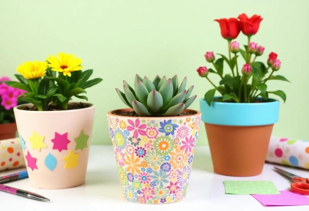 decorative flower pots